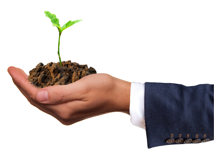 Pregunta por nuestros Servicios